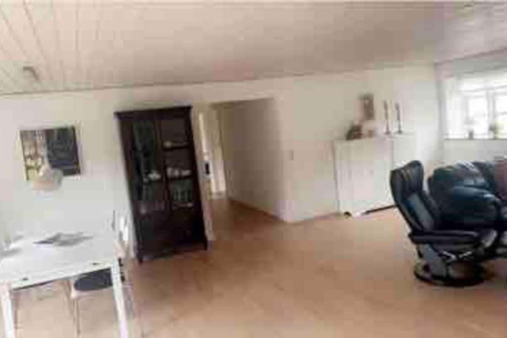 Dejligt Stort Hus Med Spa Ålbæk エクステリア 写真