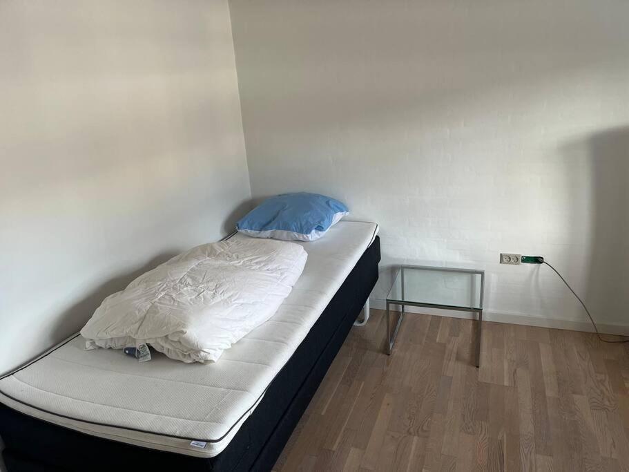 Dejligt Stort Hus Med Spa Ålbæk エクステリア 写真