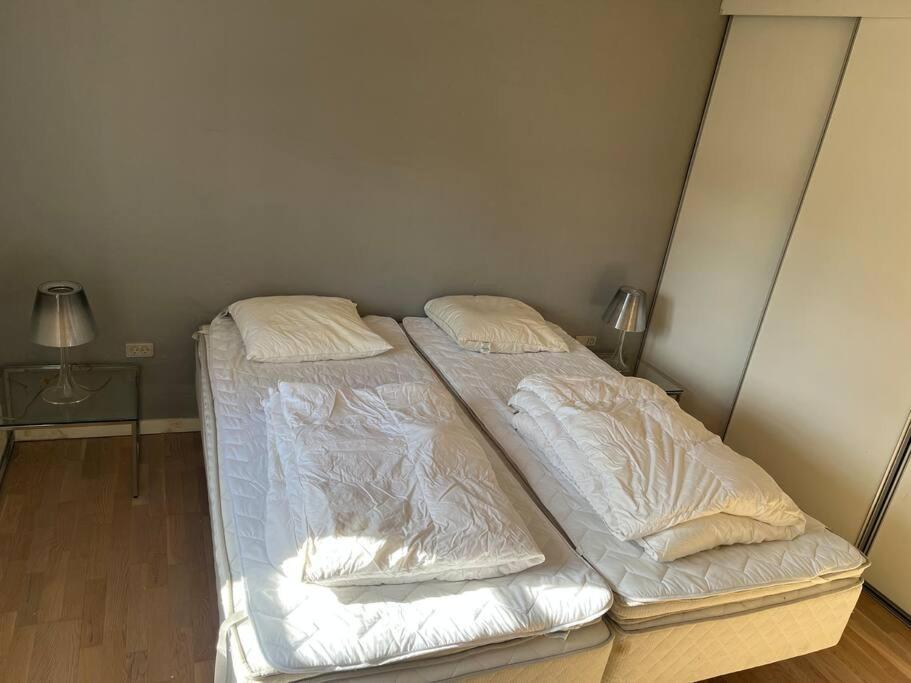 Dejligt Stort Hus Med Spa Ålbæk エクステリア 写真