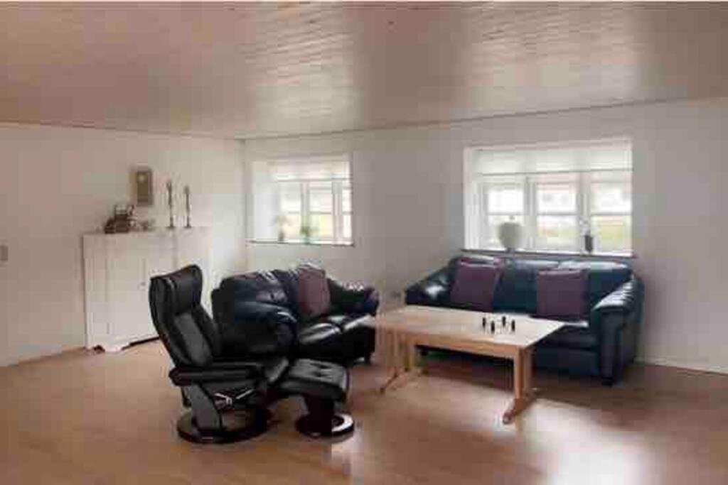 Dejligt Stort Hus Med Spa Ålbæk エクステリア 写真