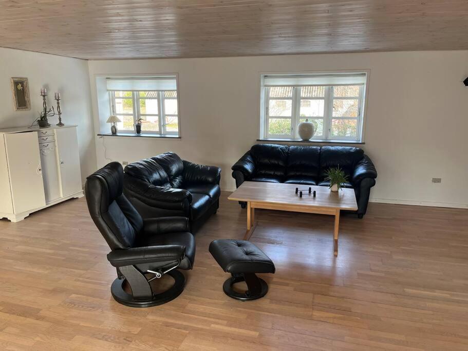 Dejligt Stort Hus Med Spa Ålbæk エクステリア 写真