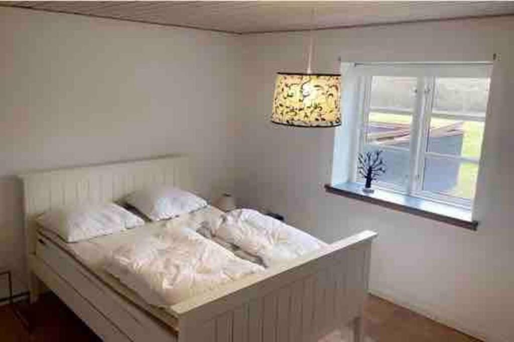 Dejligt Stort Hus Med Spa Ålbæk エクステリア 写真
